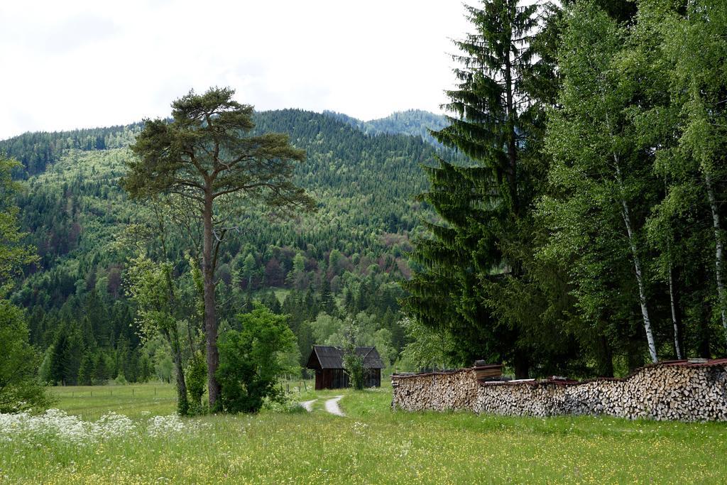 Gaestehaus Kuehnle Pichl bei Aussee المظهر الخارجي الصورة